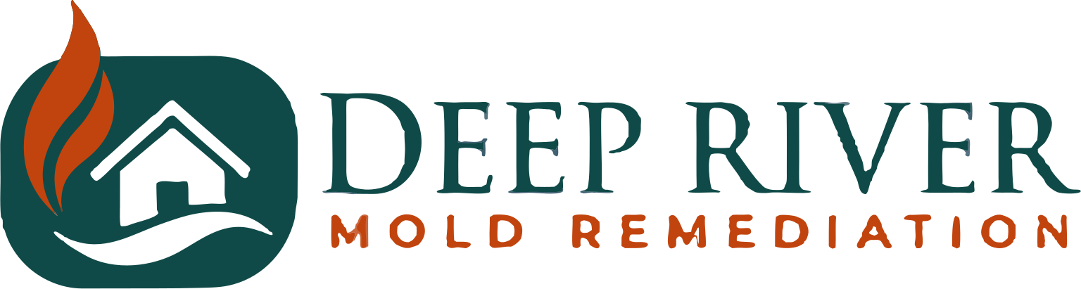 Deep River Mold Remediation logo
