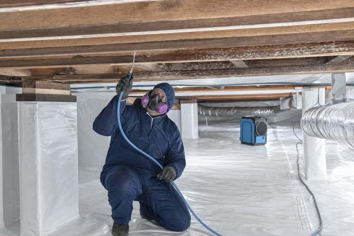 Crawl Space Mold Removal work